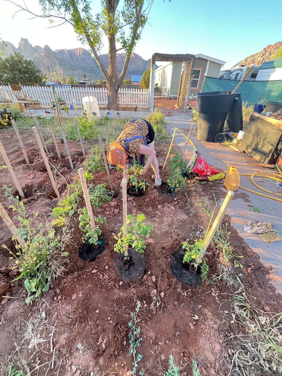 Charlotte Planting the Starts She Grew from Seed